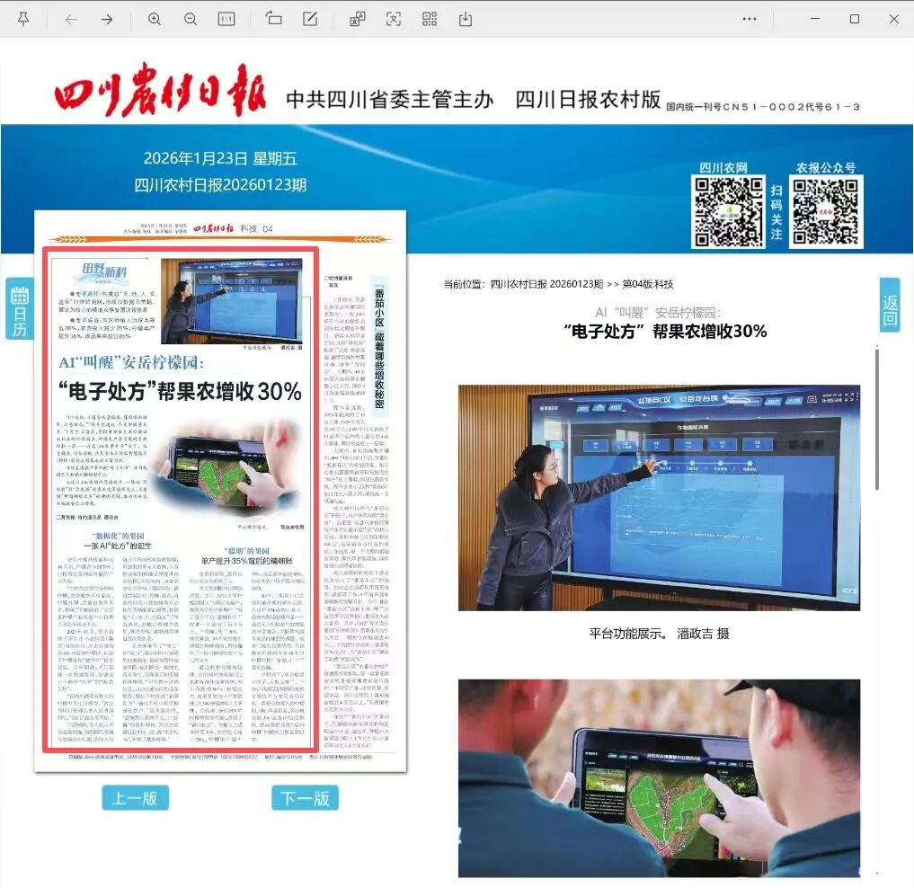 Sichuan Rural Daily Feature: AI Boosts Lemon Yields by 30%
